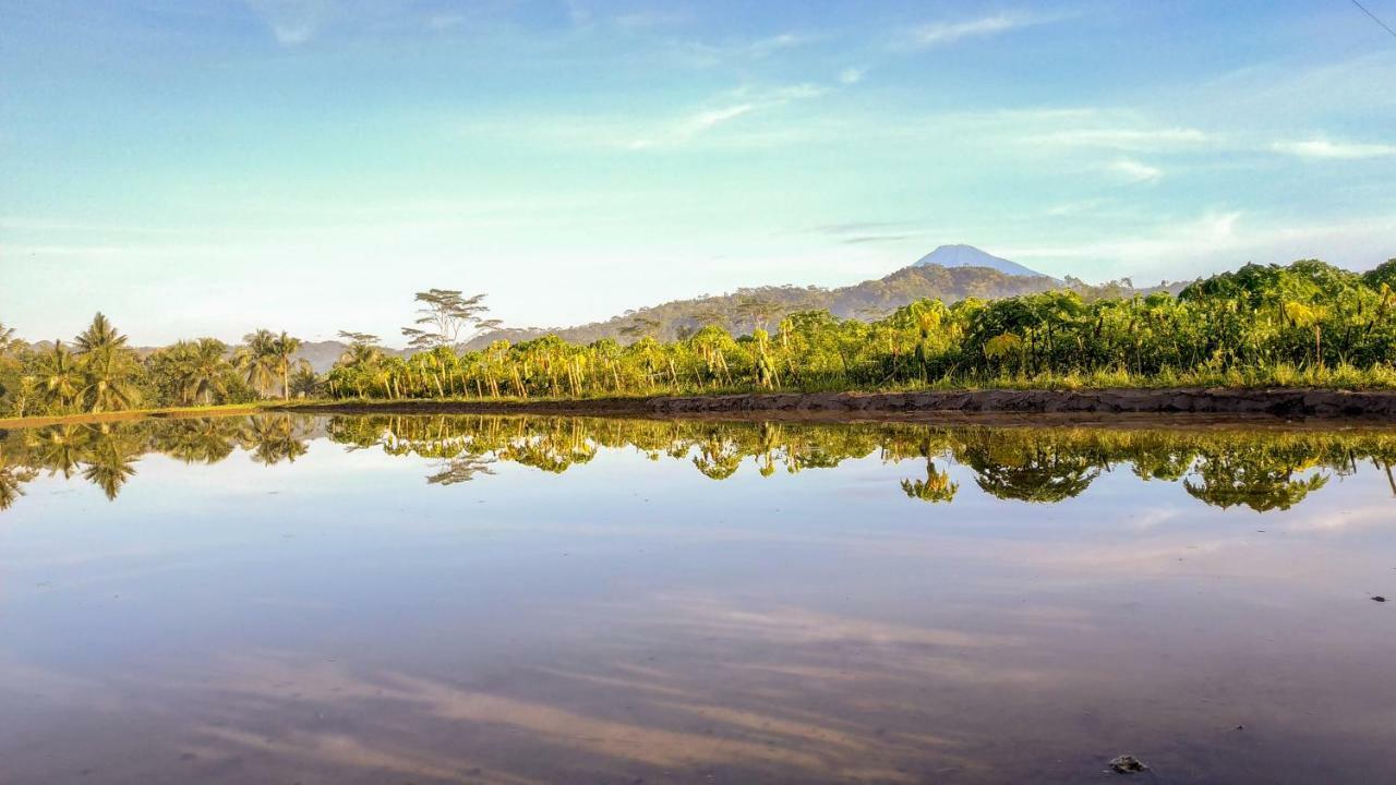 Genthong Homestay 马格朗 外观 照片