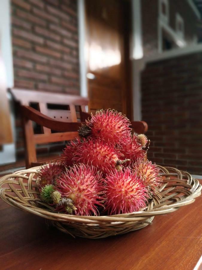 Genthong Homestay 马格朗 外观 照片
